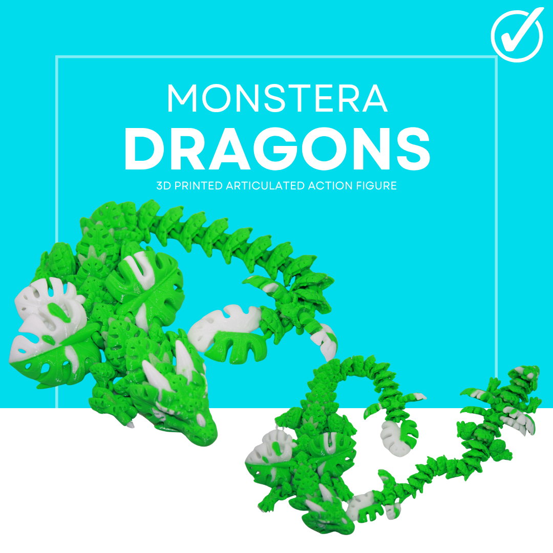 Monstera Dragon